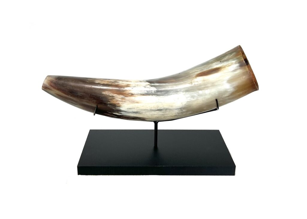 powder horn display