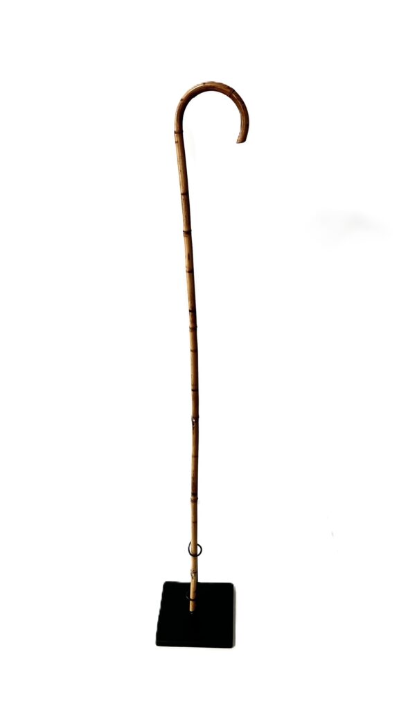cane holder display