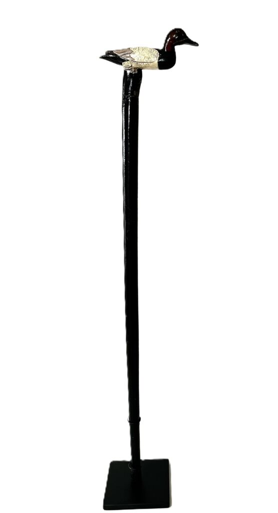 walking stick display